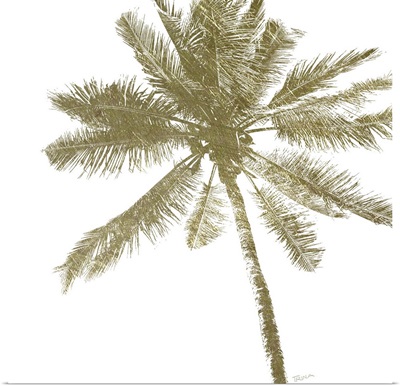 Palm Breeze II