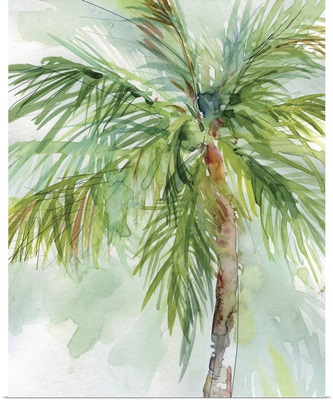 Palm Breezes II