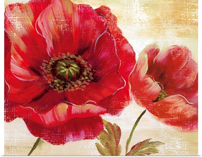 Passion for Poppies I