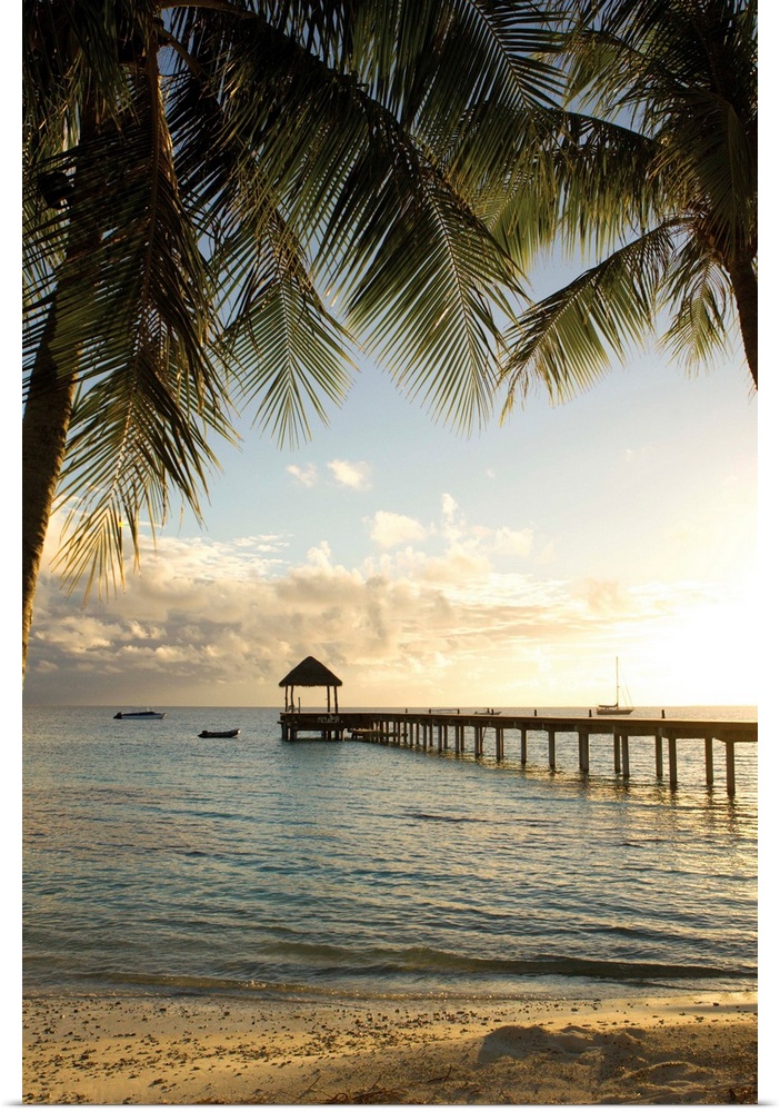 Vertical photograph of a tropical landscape framed with palm trees on both sides and a long pier leading to the ocean in t...