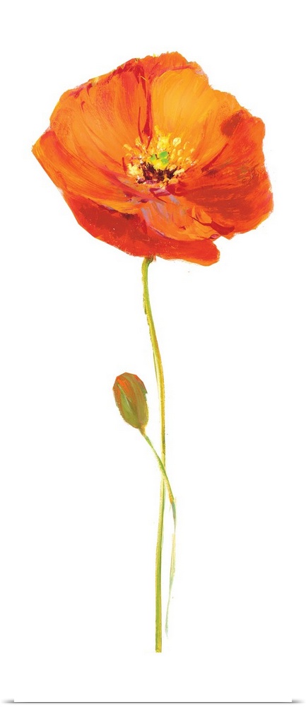 Tall contemporary painting of an orange poppy flower with a long stem on a solid white background.