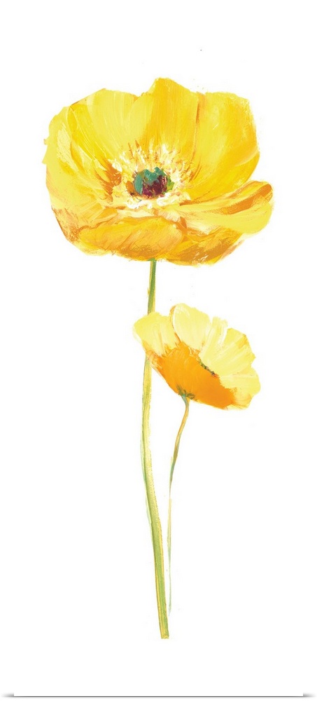 Tall contemporary painting of two yellow poppy flowers with a long stem on a solid white background.