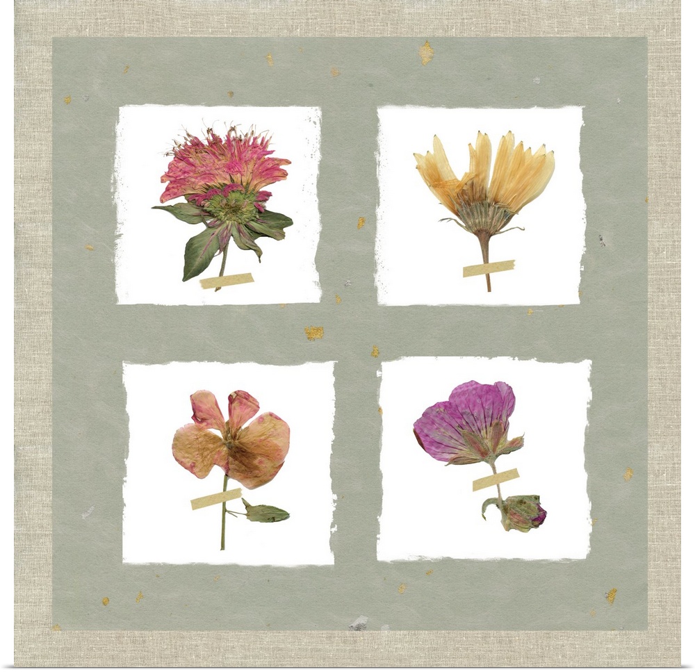 Square decor with four dried flowers pressed onto four painted white squares on a rustic green background with a burlap bo...