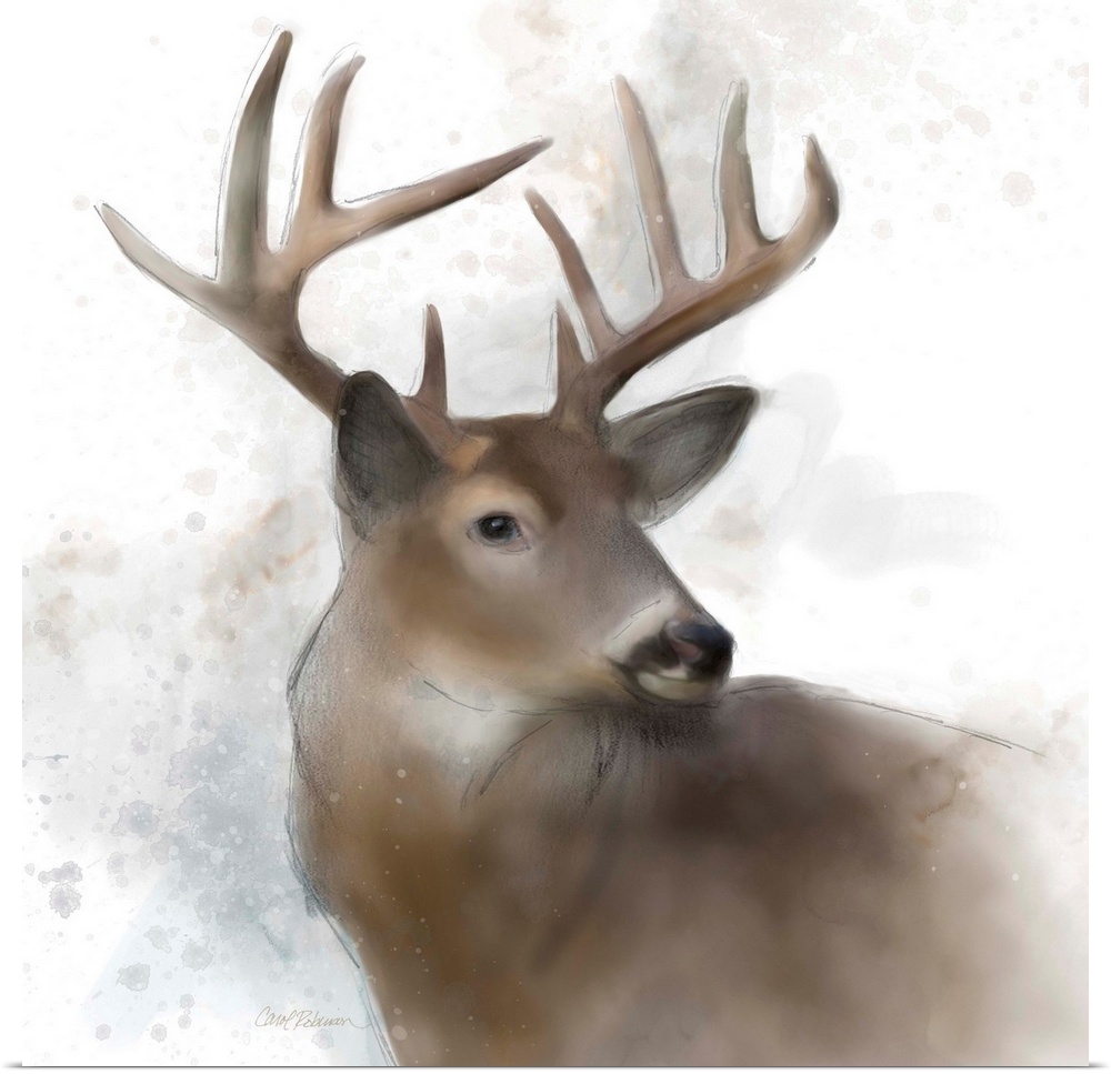 Watercolor portrait of a stag on white.