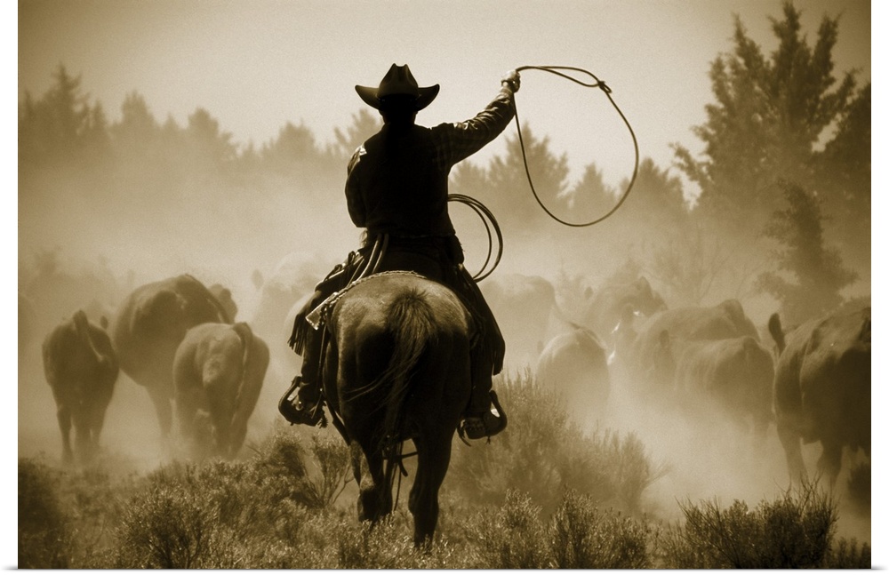 A photo of a cowboy rounding up cattle in a dusty field.