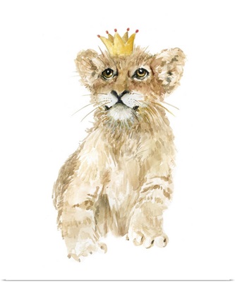 Savannah Lion Cub