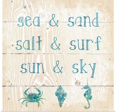 Sea Sand Salt Surf