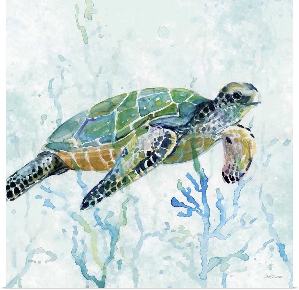 Square watercolor painting of a sea turtle swimming amongst seaweed in shades of blue and green.