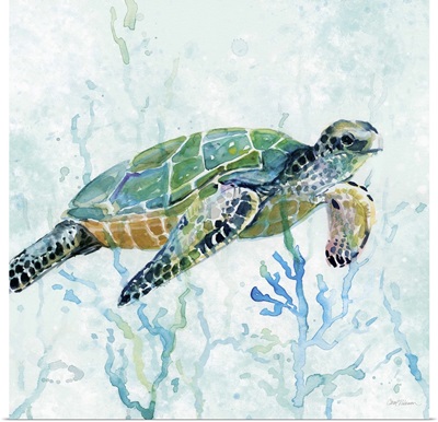 Sea Turtle Swim I