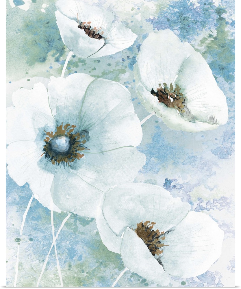 Watercolor painting of white poppies on a blue and green paint splattered background.