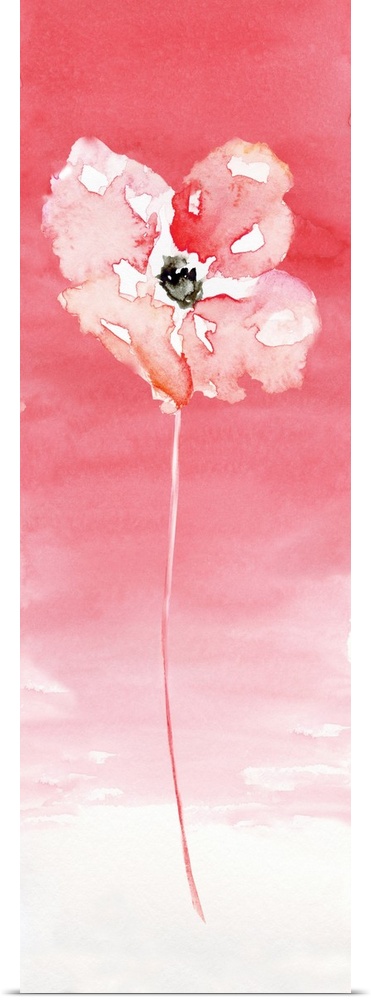 A watercolor flower rests on a pink gradated background with pink at the top and an almost white at the bottom.