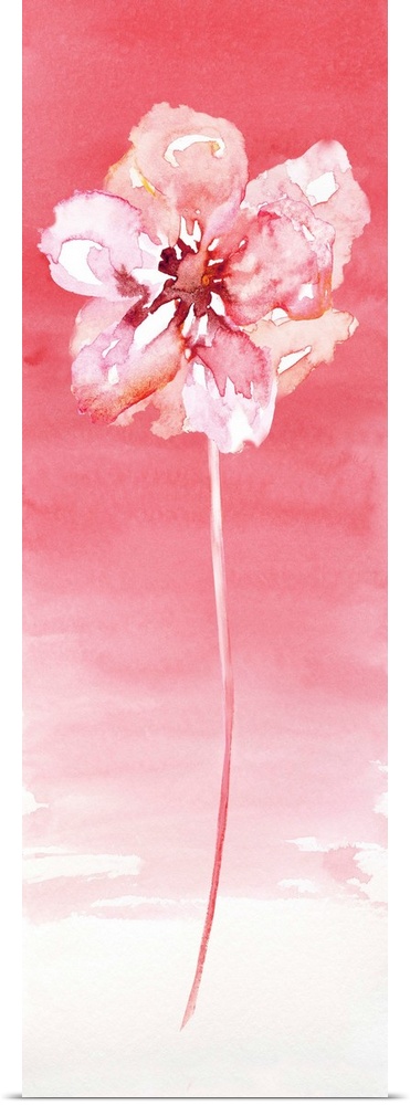 A watercolor flower rests on a pink gradated background with pink at the top and an almost white at the bottom.