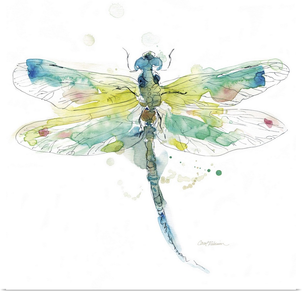 A watercolor painting of a colorful dragonfly.