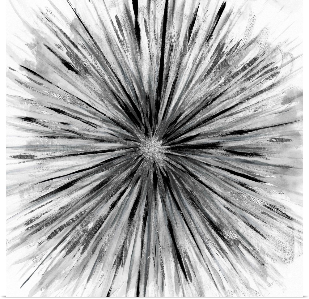 Square abstract artwork of a black and grey sunburst design on a white background.
