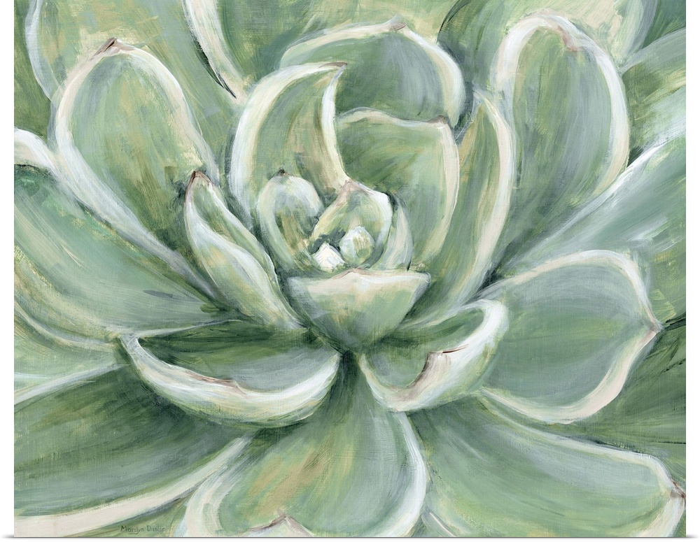 Contemporary painting of a close-up succulent.
