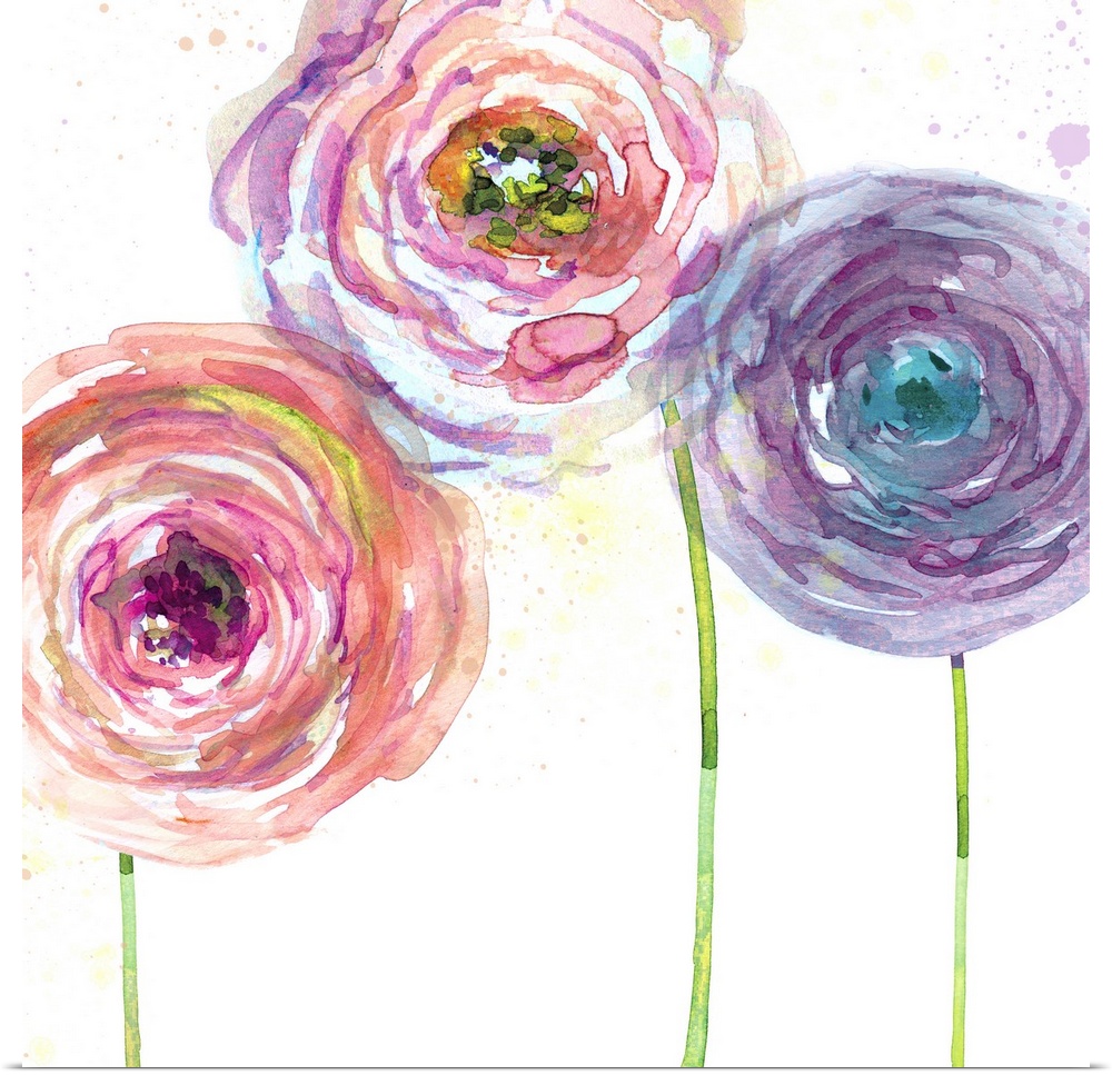 Watercolor flowers in a rainbow of colors.