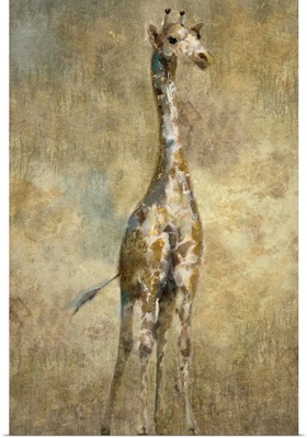 Summer Safari Giraffe