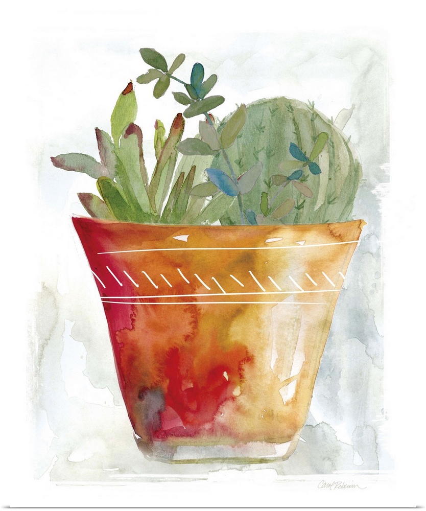 A watercolor painting of a cactus in a terracotta pot.
