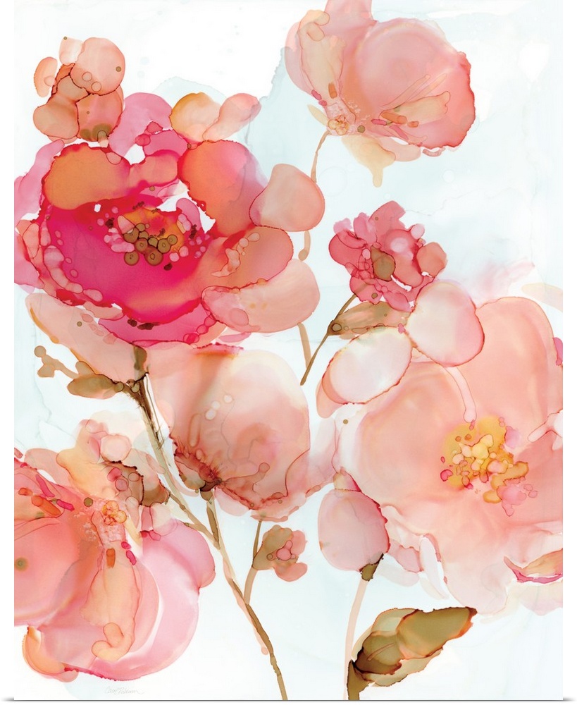 Abstract watercolor painting of pink peonies on a white background.