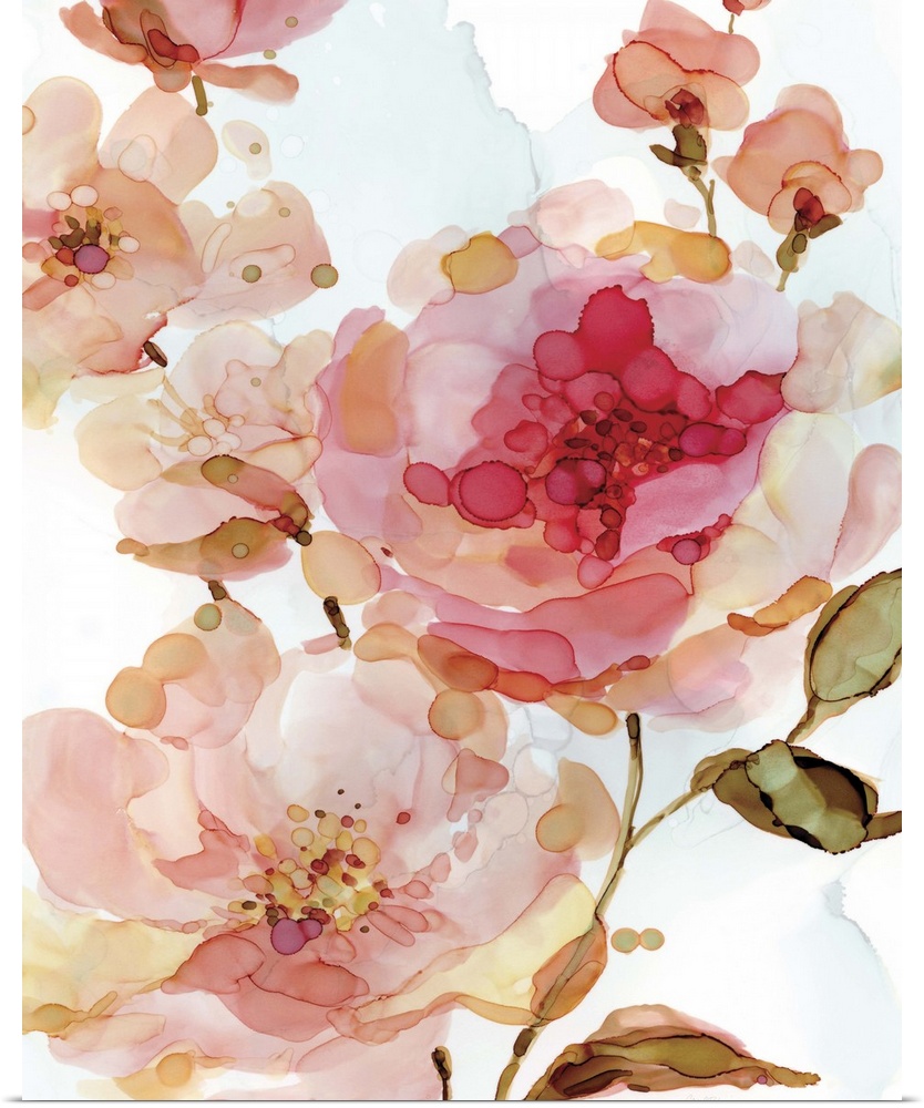 Abstract watercolor painting of pink roses on a white background.