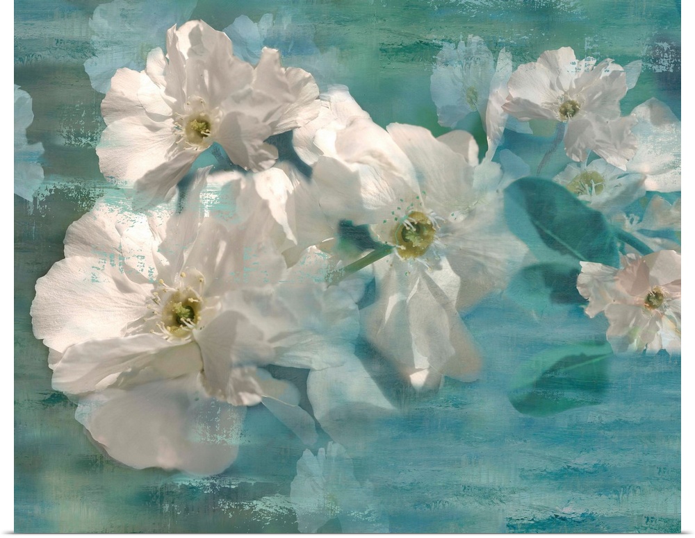 Dream-like painting of white jasmine flowers on a blue background with wood grain.