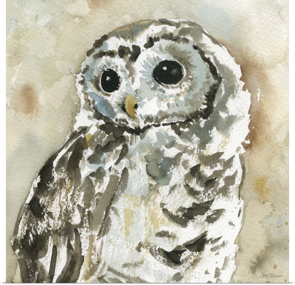 A watercolor painting of an abstract  woodland owl.