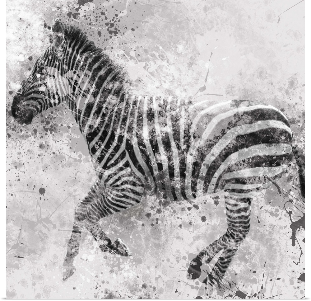 Contemporary artwork of a zebra against a textured looking background with an overall grungy and distressed look.