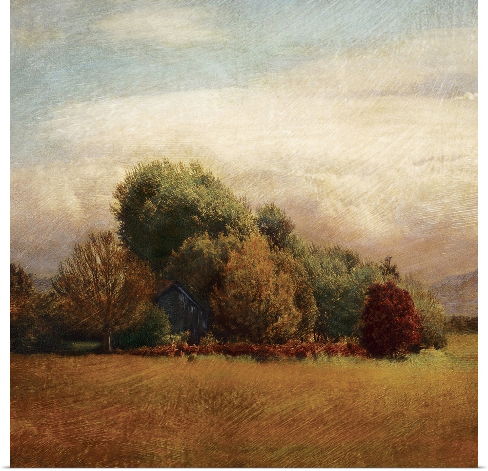 Contemporary painting of a small grove overgrown with trees and an abandoned barn peeking through.