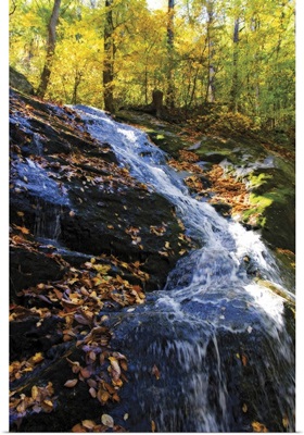 Autumn Waterfall I