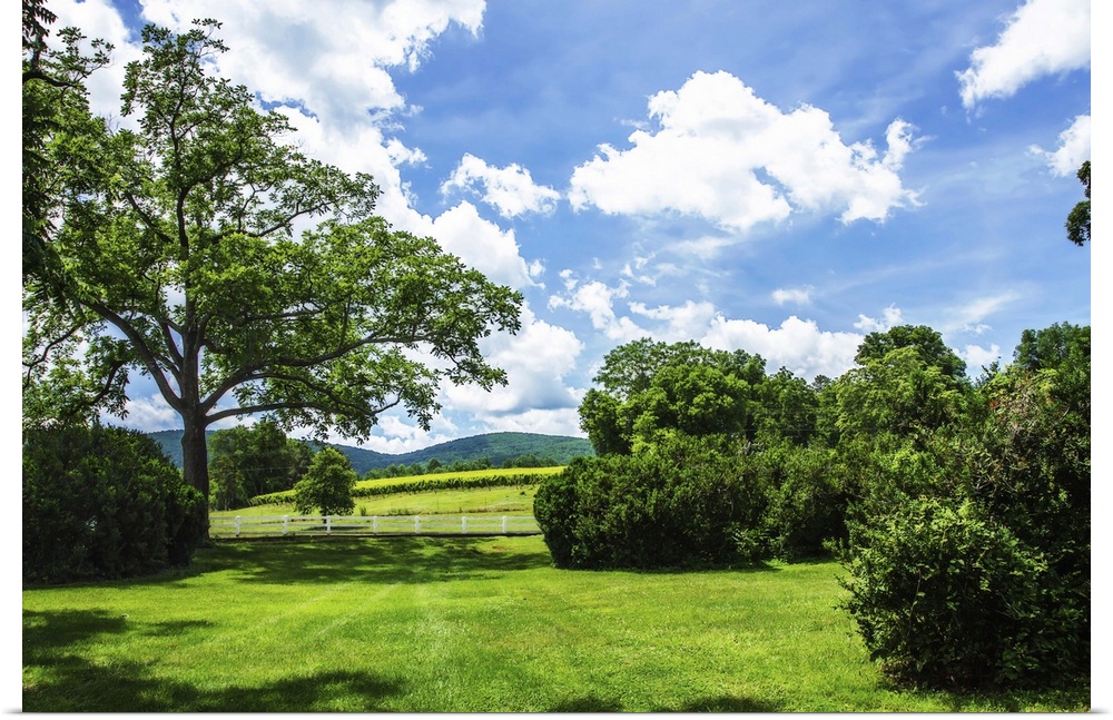 Landscape photograph of the hilly countryside in Barboursville, VA.