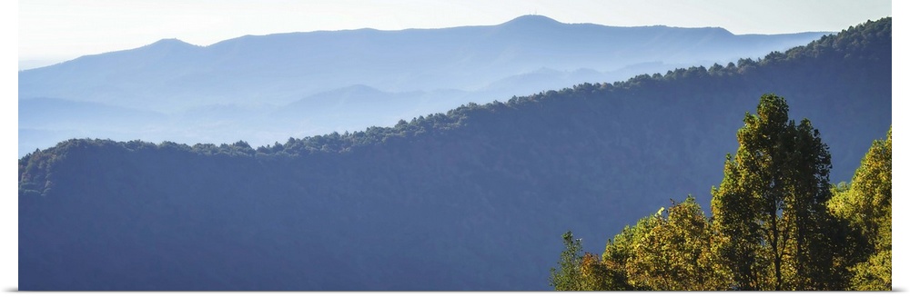 Panoramic view of the blue hills of the Smokey Mountains in North Carolina.
