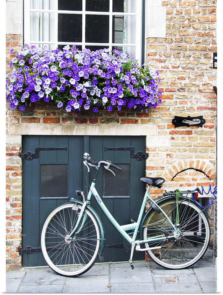 A bicycle parked near a small door with a flowerbox full of purple flowers overhead.