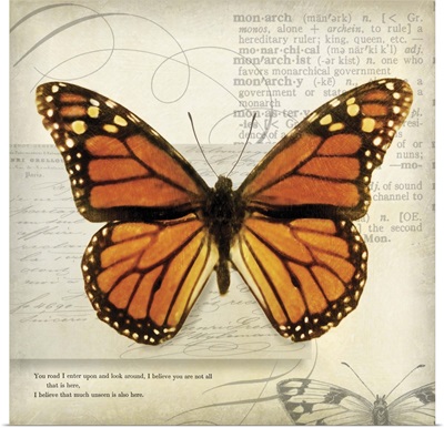 Butterflies Script II - mini
