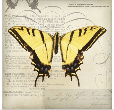 Butterflies Script V - mini