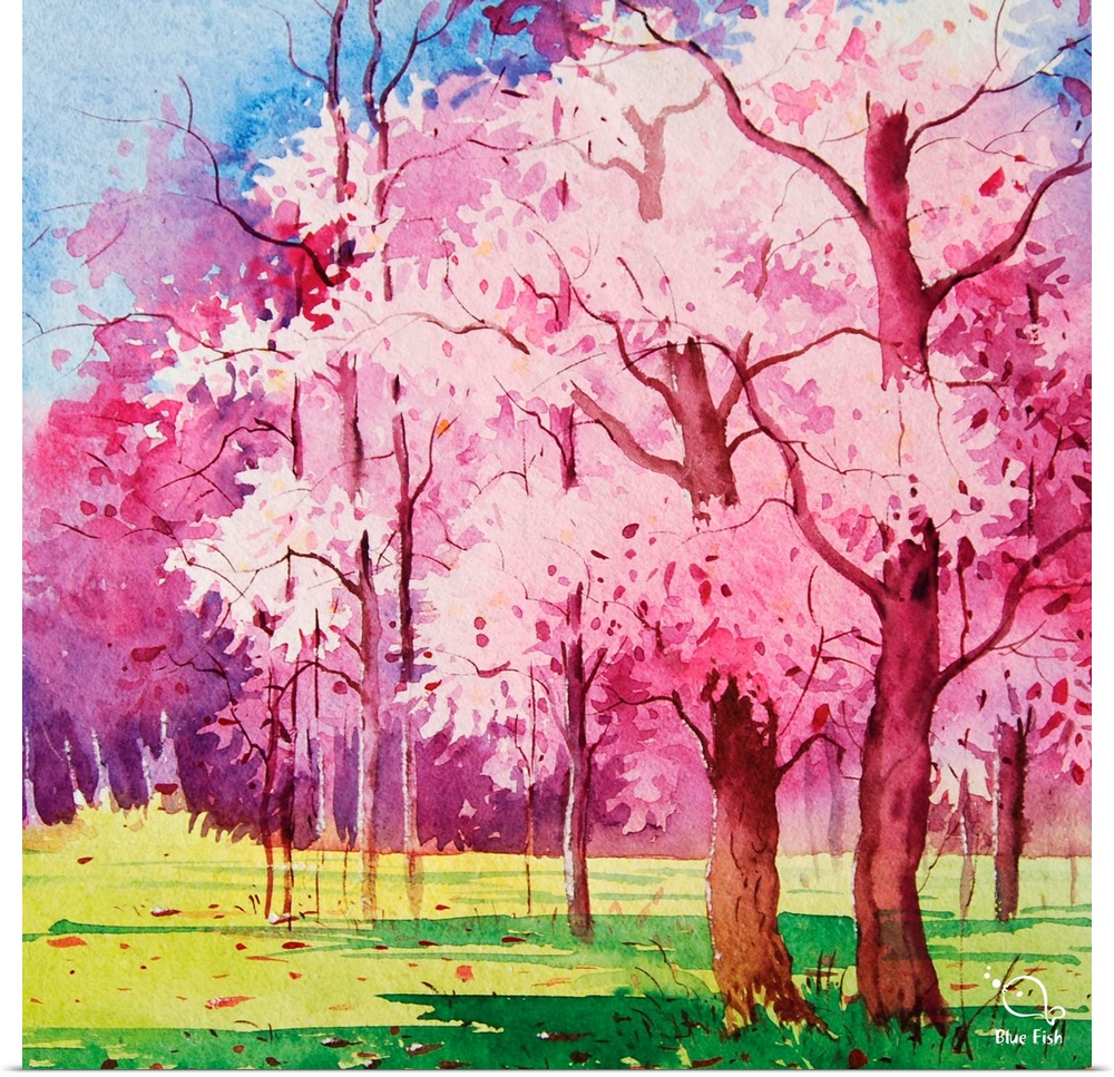 Contemporary watercolor painting of a cherry tree in bloom in the spring.