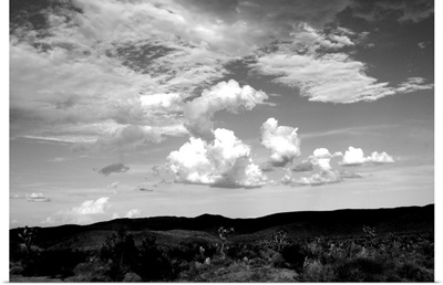 Clouds in Joshua Tree II