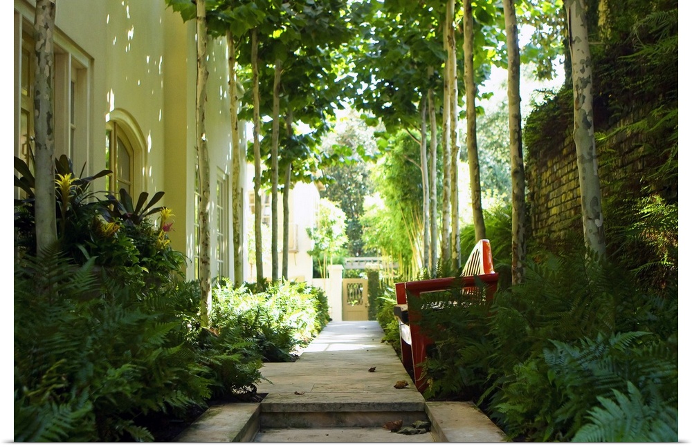 A photograph of a shaded garden pathway besides a house, landscaped with tropical plants, and adjacent to a brick wall.