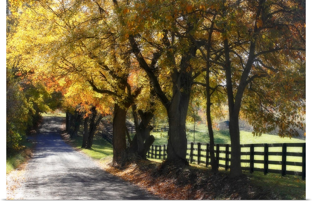 A gravel road in the countryside lined by colorful trees during the fall.