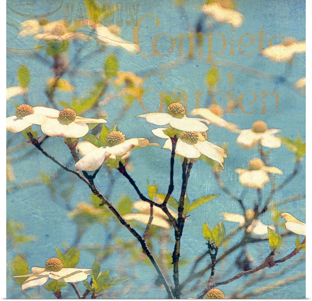 This square decorative accent is a photograph of spring flower blossoms and tree branches collaged with paint textures, de...
