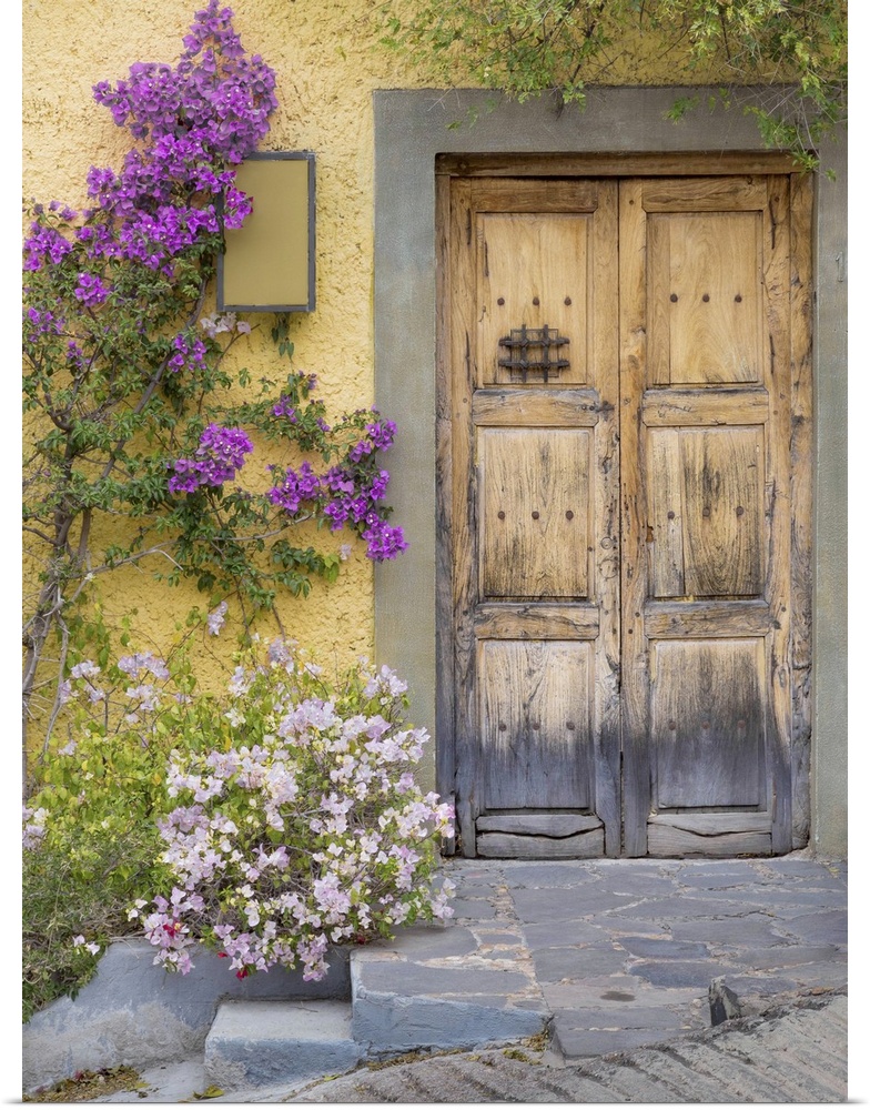 Doorway, San Miguel de Allende, Mexico