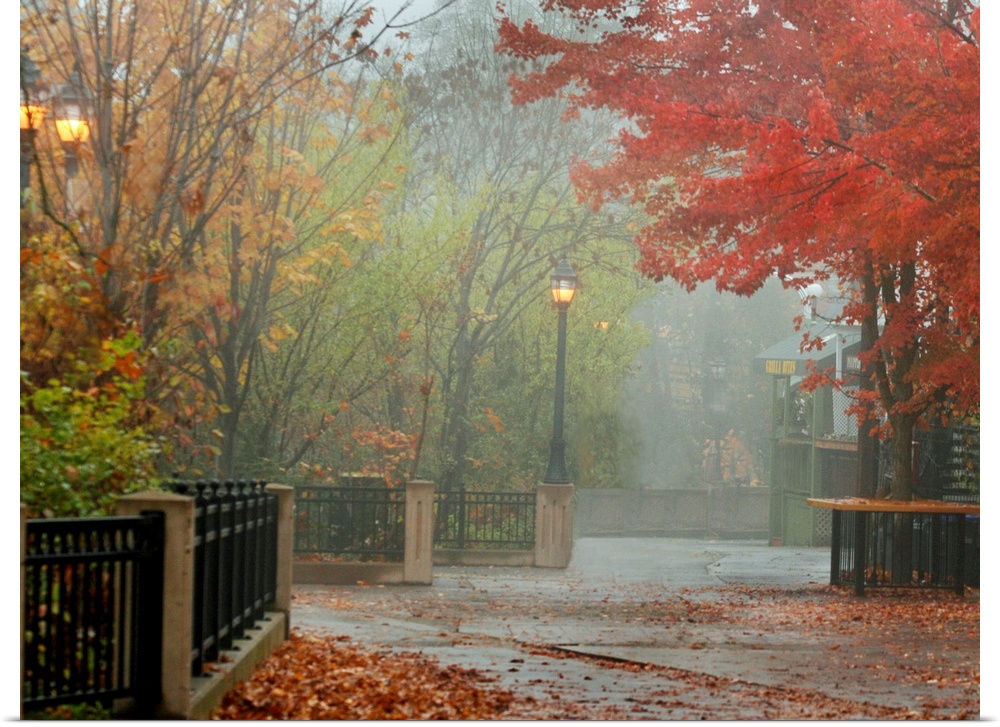A photograph of a city walkway covered with autumn leaves on a misty day.
