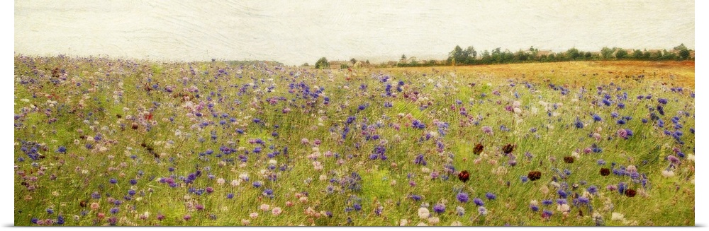 Giant, panoramic painting of a vast field of wildflowers and tall grasses, beneath a clear sky.