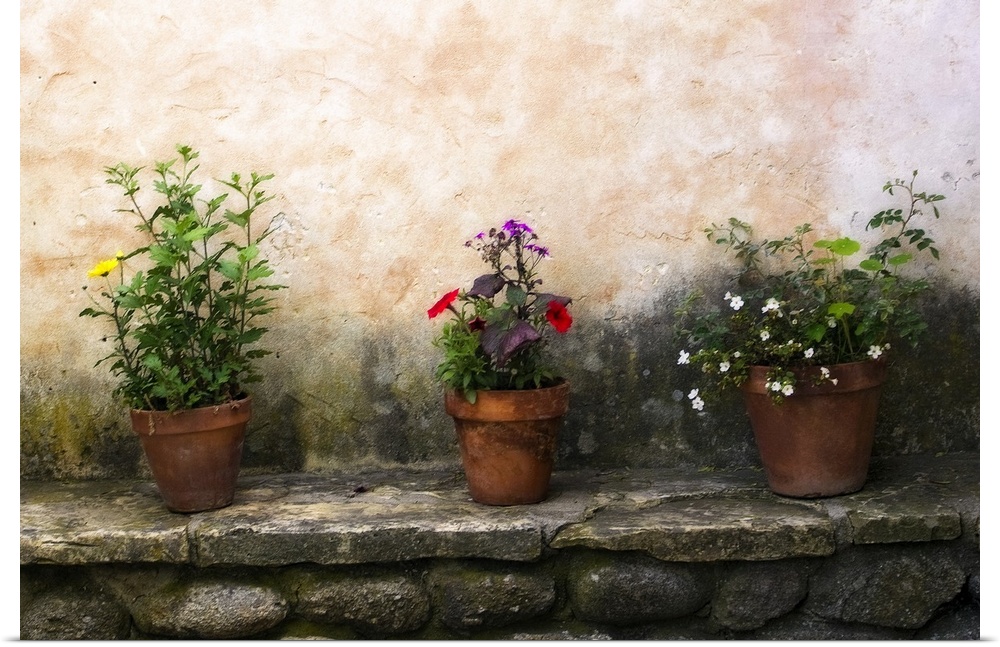 Picture taken of three flower pots sitting on top a stone bench all with different types of flowers planted in them.