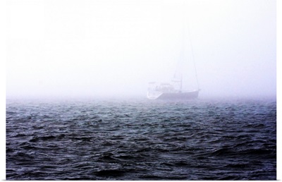 Fog on the Bay I