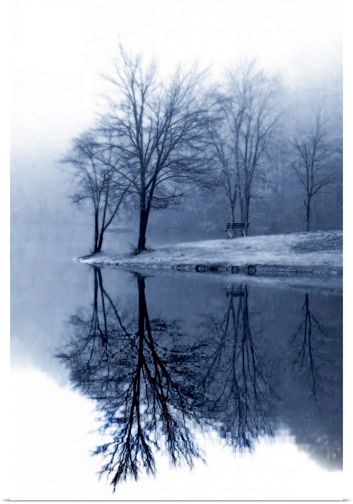 Bare trees stand near the edge of water and reflect perfectly down in it.