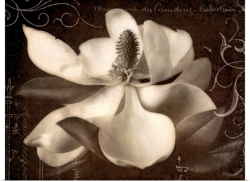 This decorative accent is a collage created with decorative embellishments laid over a magnolia blossom.