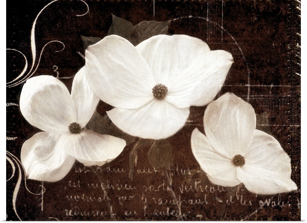 Decorative accents created by collaging of dogwood blossoms with hand writing and ornamental typographic elements.