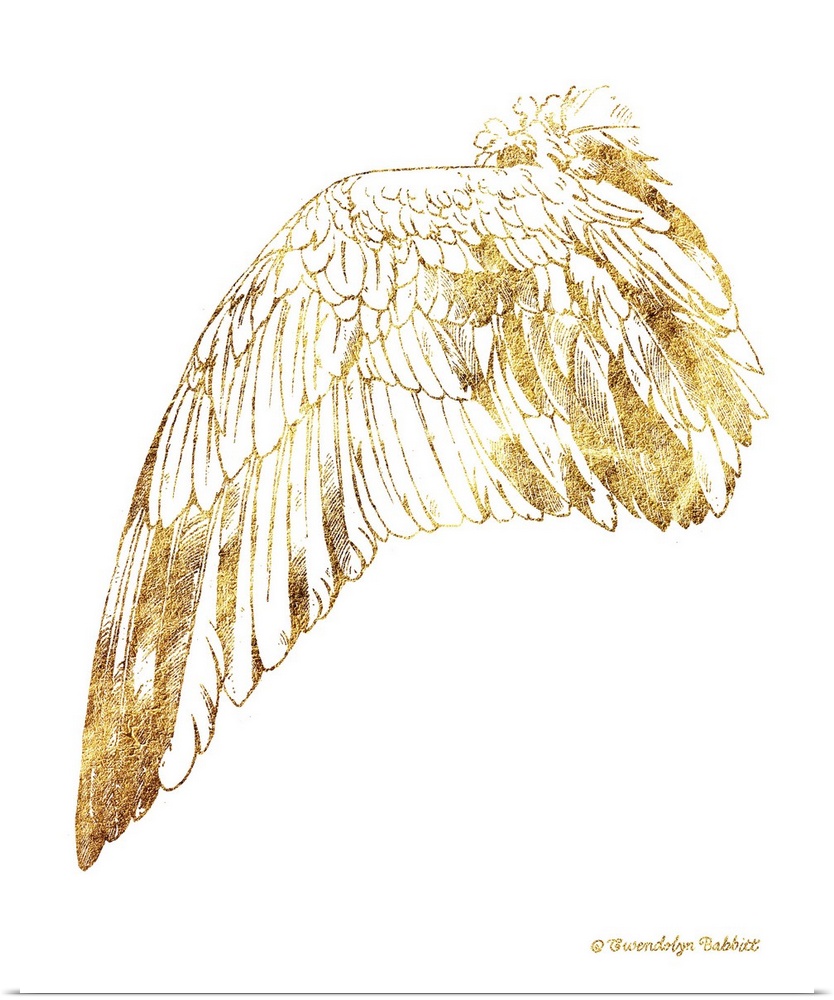 An illustration of a bird's wing in gold over a white background.