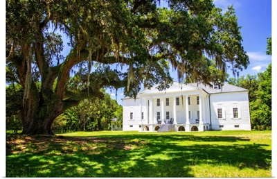 Hampton Plantation