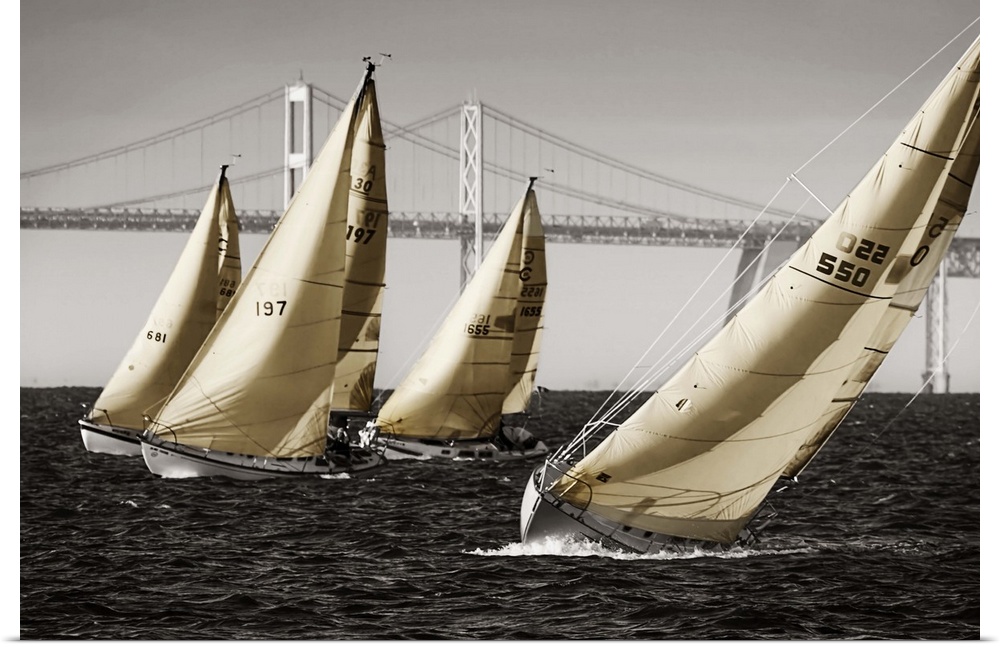 A group of sailboats on the water in Chesapeake Bay near a bridge.